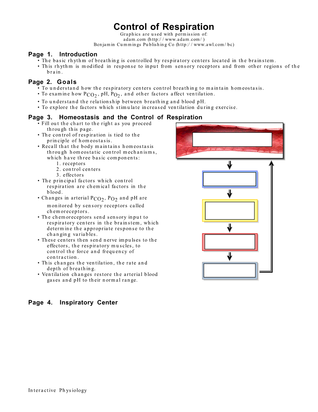 Control of Respiration Graphics Are Used with Permission Of: Adam.Com ( Benjamin Cummings Publishing Co ( Page 1