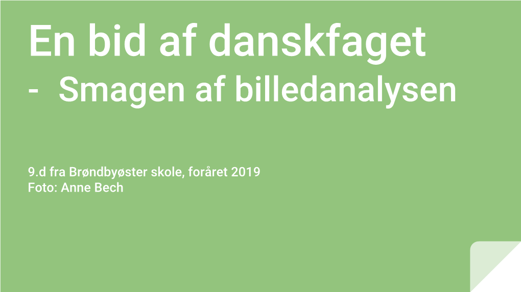 En Bid Af Danskfaget Smagen Af Billedanalysen