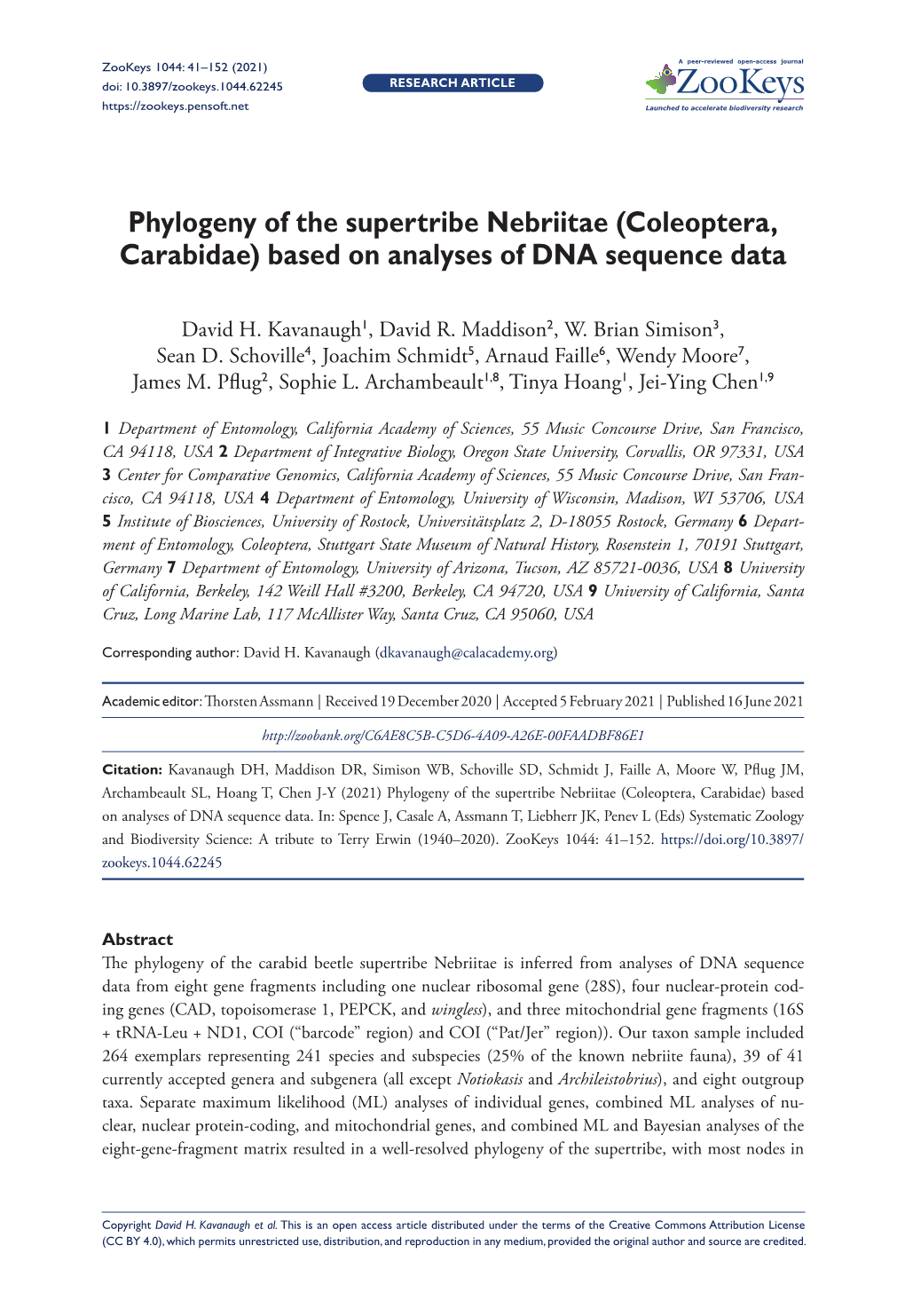 Phylogeny of the Supertribe Nebriitae (Coleoptera, Carabidae) Based on Analyses of DNA Sequence Data