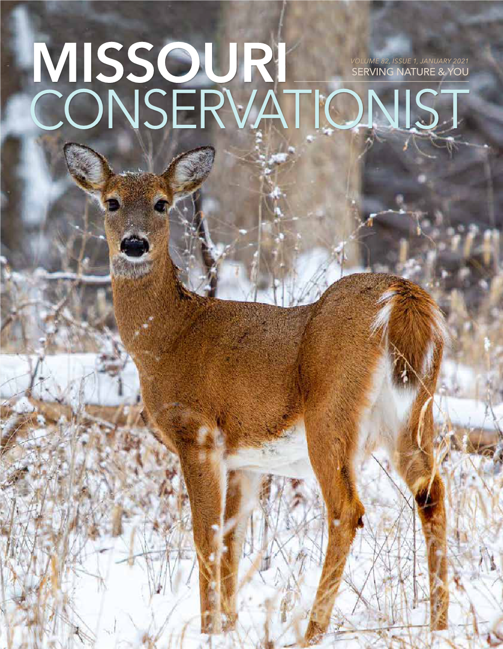 Missouri Conservationist January 2021