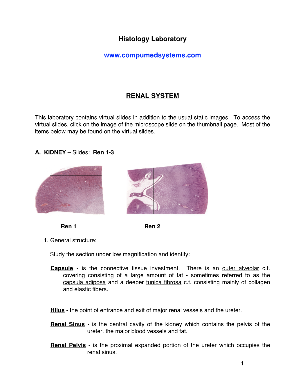 Histology Laboratory