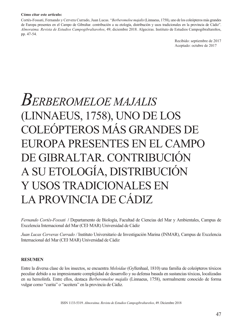 Berberomeloe Majalis (Linnaeus, 1758), Uno De Los Coleópteros Más Grandes De Europa Presentes En El Campo De Gibraltar