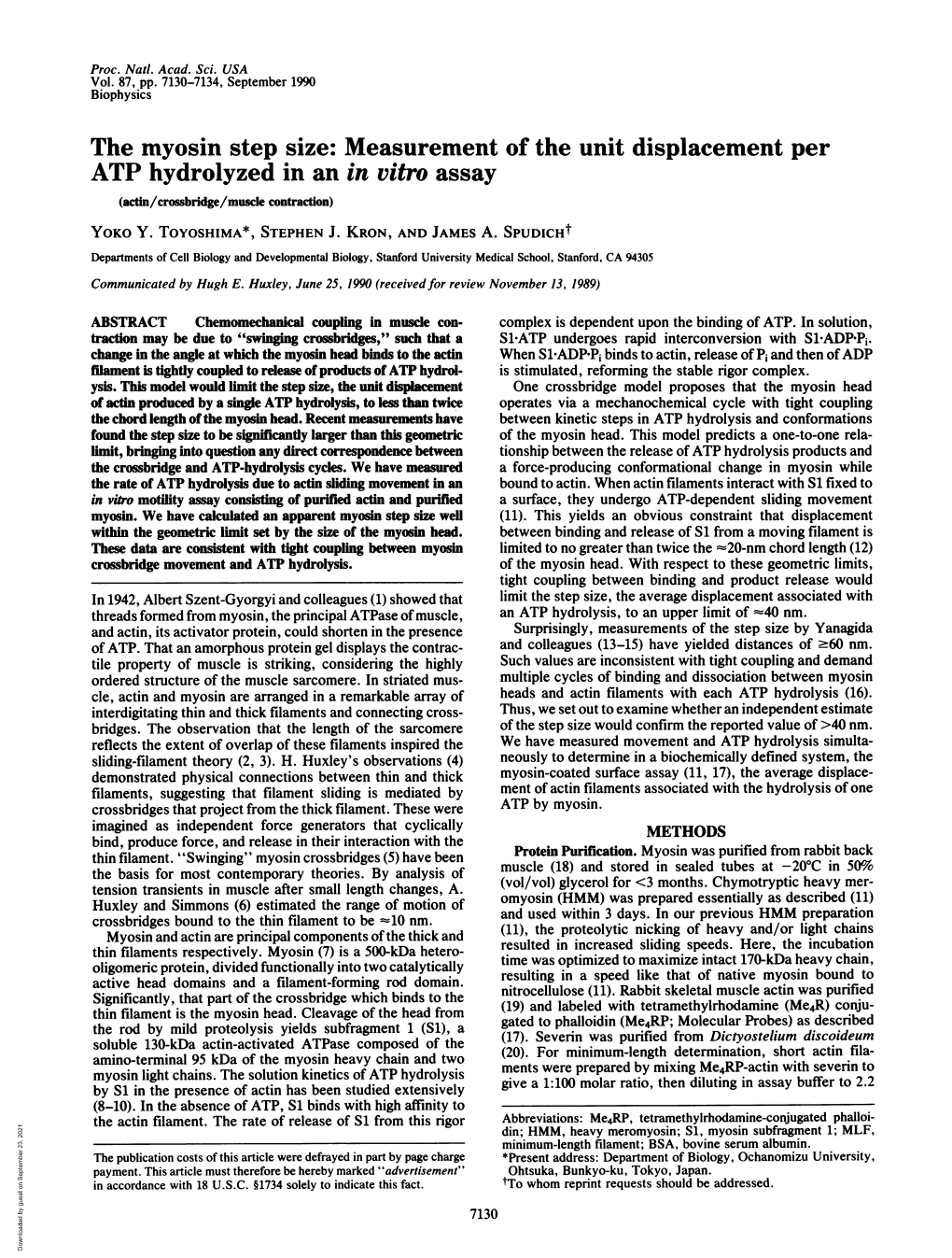 The Myosin Step Size: Measurement of the Unit Displacement Per ATP Hydrolyzed in an in Vitro Assay (Actin/Crossbridge/Muscle Contraction) YOKO Y