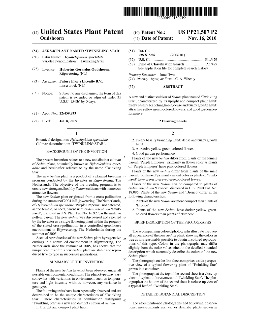 (12) United States Plant Patent (10) Patent No.: US PP21,507 P2 Oudshoorn (45) Date of Patent: Nov