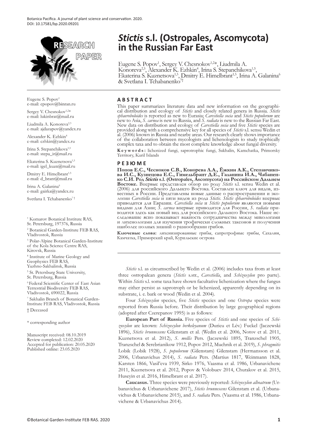 Stictis S.L. (Ostropales, Ascomycota) in the Russian Far East