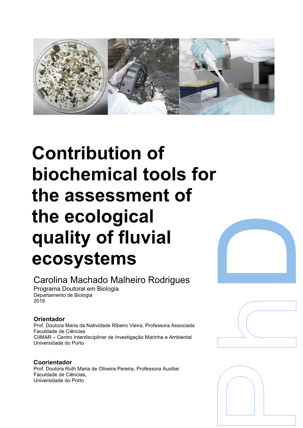 Contribution of Biochemical Tools for the Assessment of the Ecological Quality of Fluvial Ecosystems