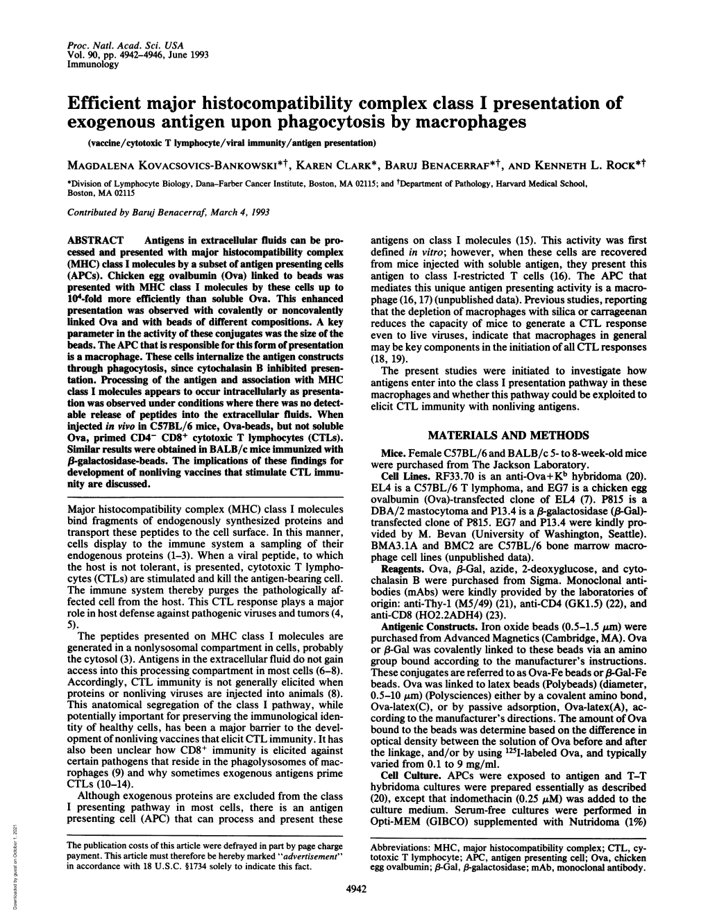 Eflicient Major Histocompatibility Complex Class I Presentation Of