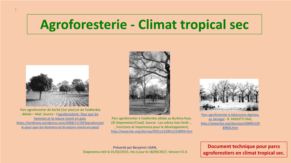 Agroforesterie - Climat Tropical Sec