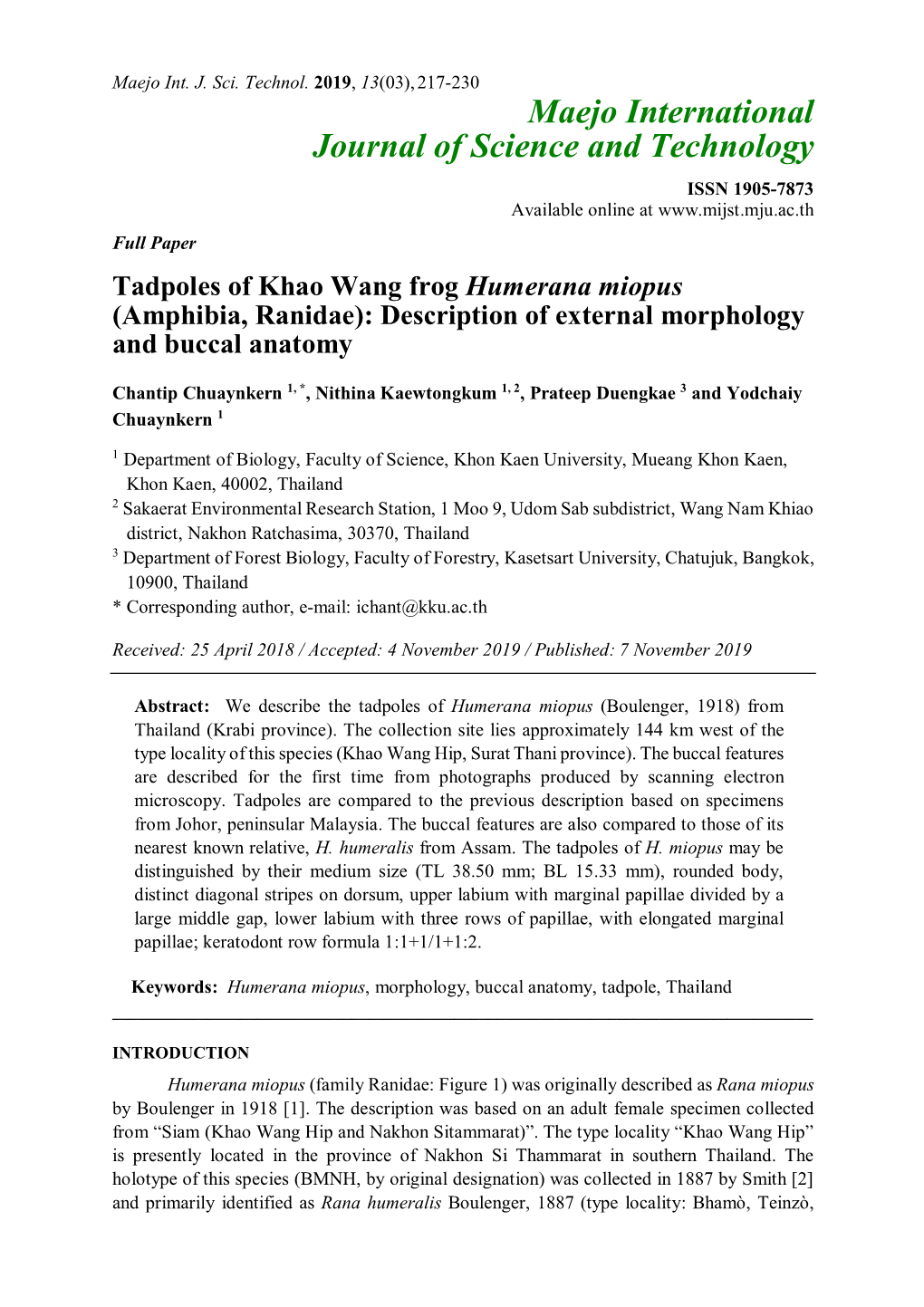 Tadpoles of Khao Wang Frog Humerana Miopus (Amphibia, Ranidae): Description of External Morphology and Buccal Anatomy