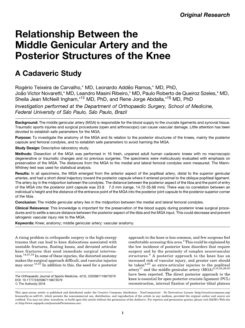 Relationship Between the Middle Genicular Artery and the Posterior Structures of the Knee