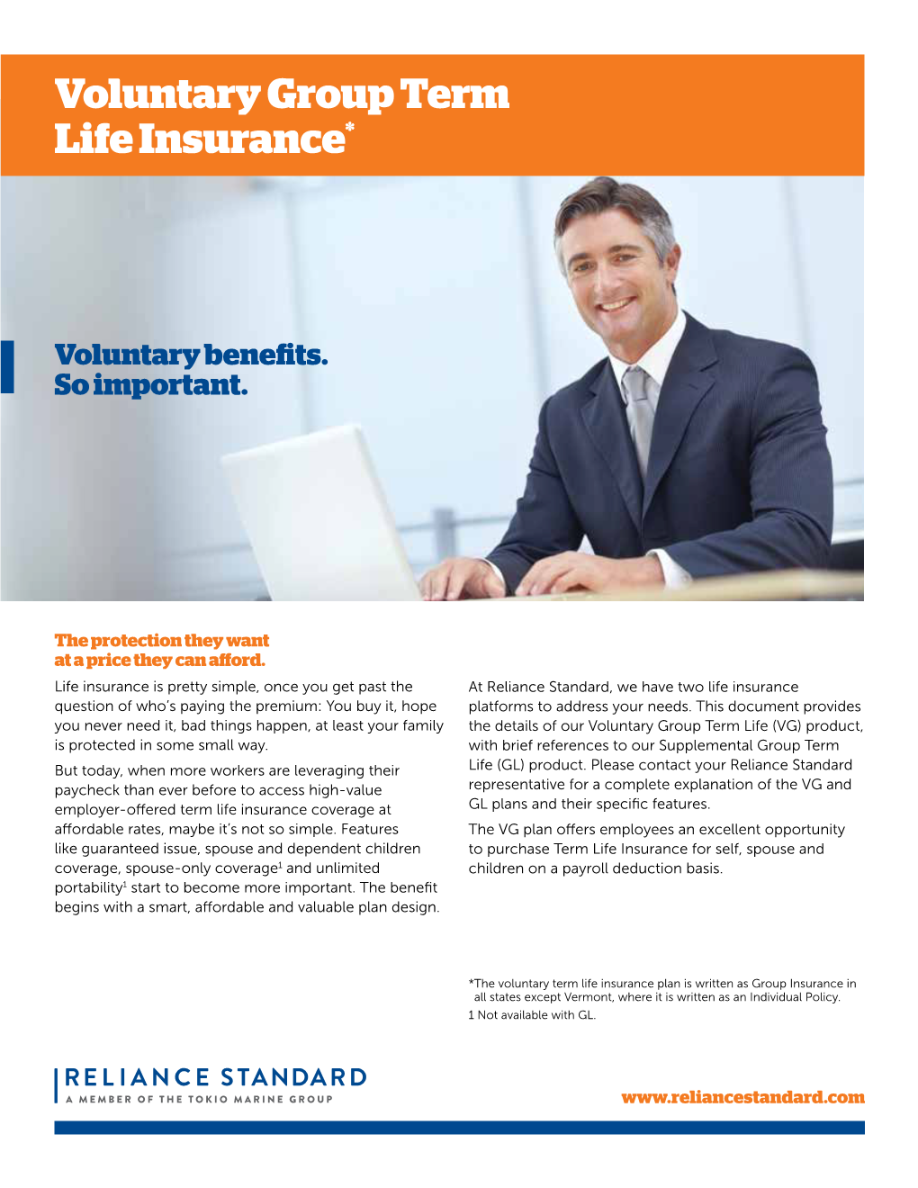 Voluntary Group Term Life Insurance*