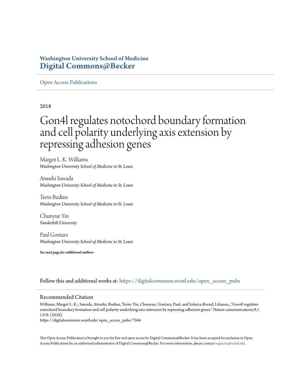 Gon4l Regulates Notochord Boundary Formation and Cell Polarity Underlying Axis Extension by Repressing Adhesion Genes Margot L