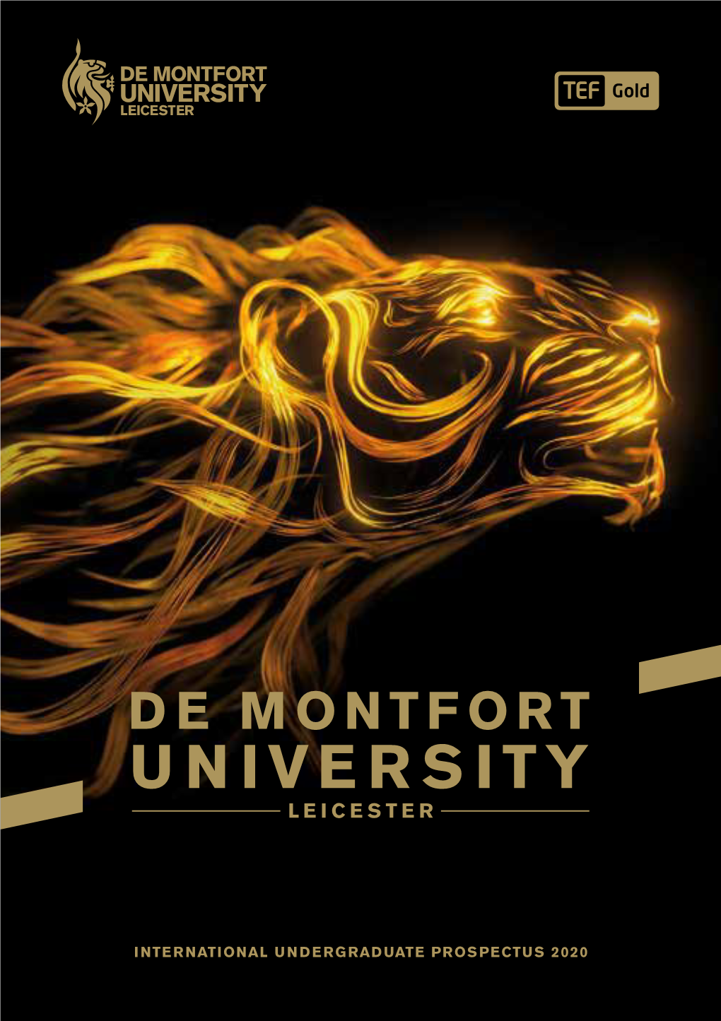 DMU International UG Prospectus 2020.Pdf