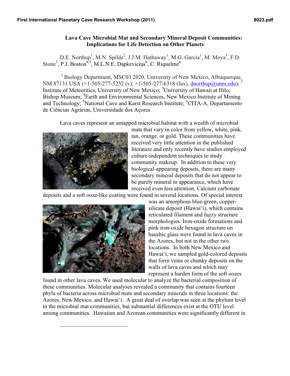 Lava Cave Microbial Mat and Secondary Mineral Deposit Communities: Implications for Life Detection on Other Planets