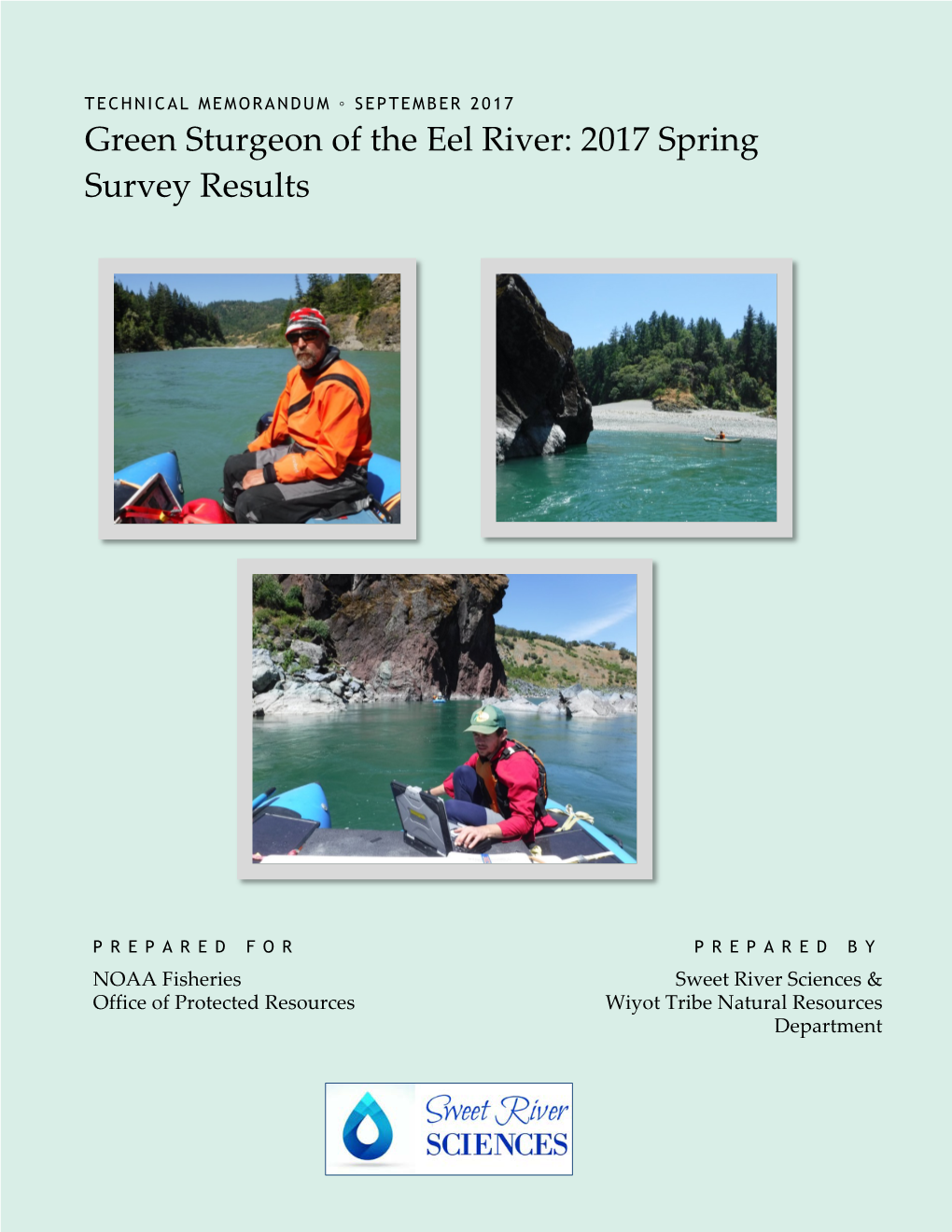 Green Sturgeon of the Eel River: 2017 Spring Survey Results