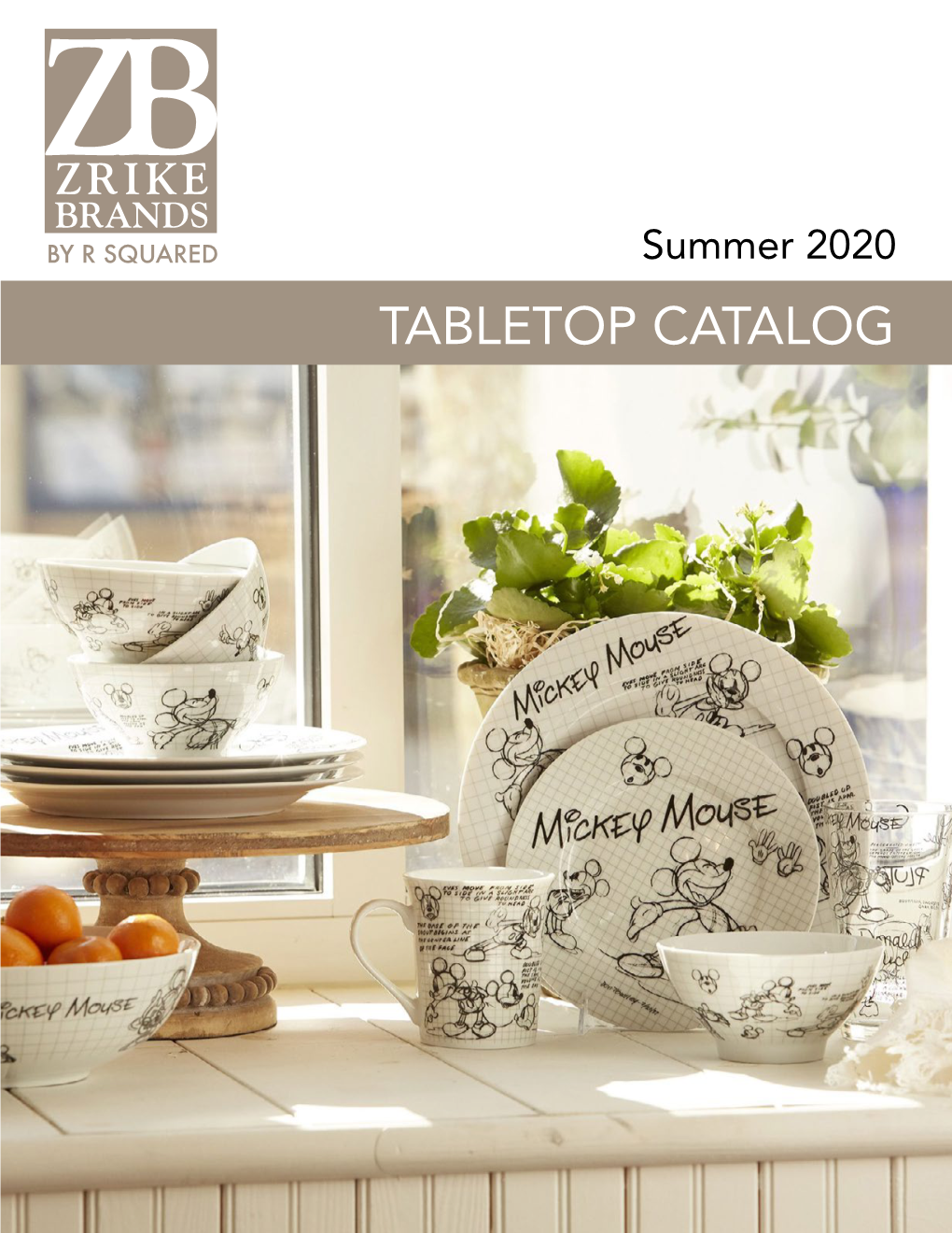 ZRIKE Catalog 2020