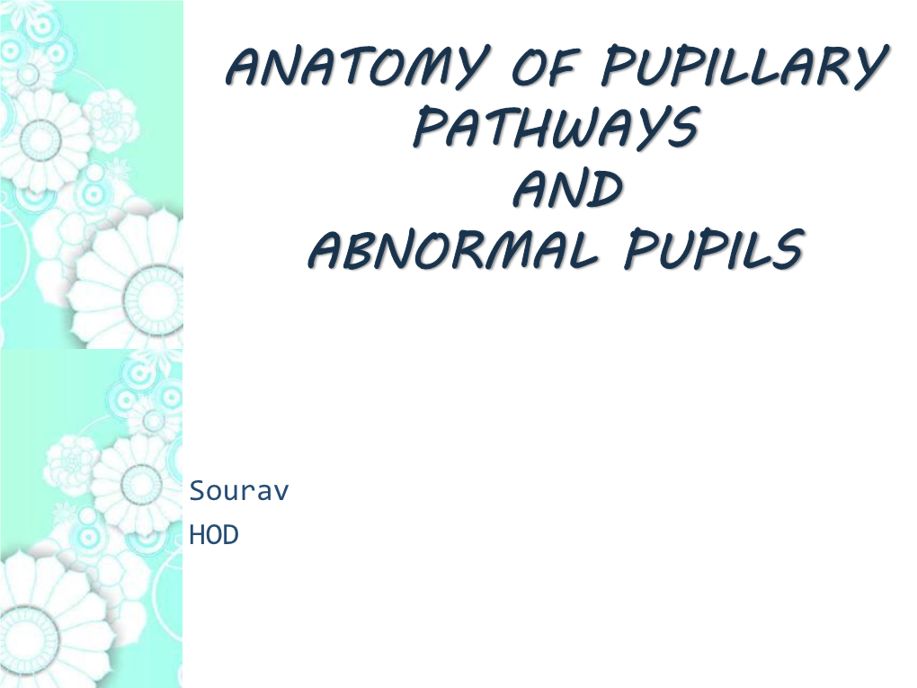 Anatomy of Pupillary Pathways and Abnormal Pupils