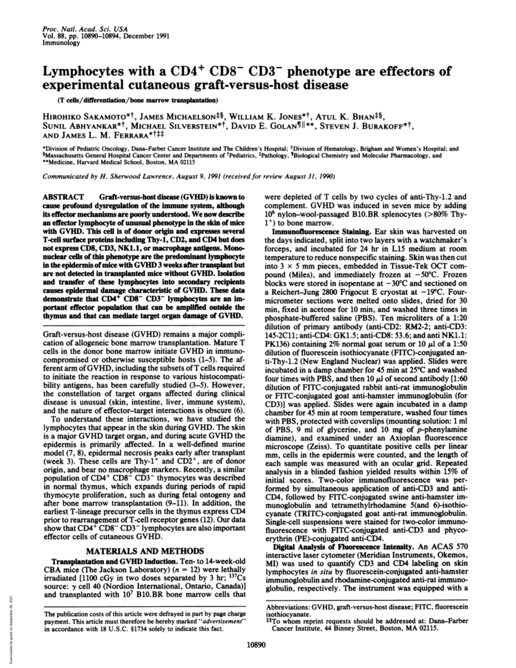 Lymphocytes with a CD4'