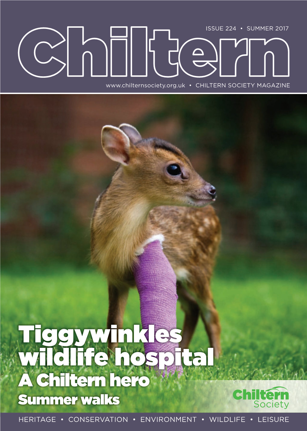 Tiggywinkles Wildlife Hospital a Chiltern Hero Summer Walks