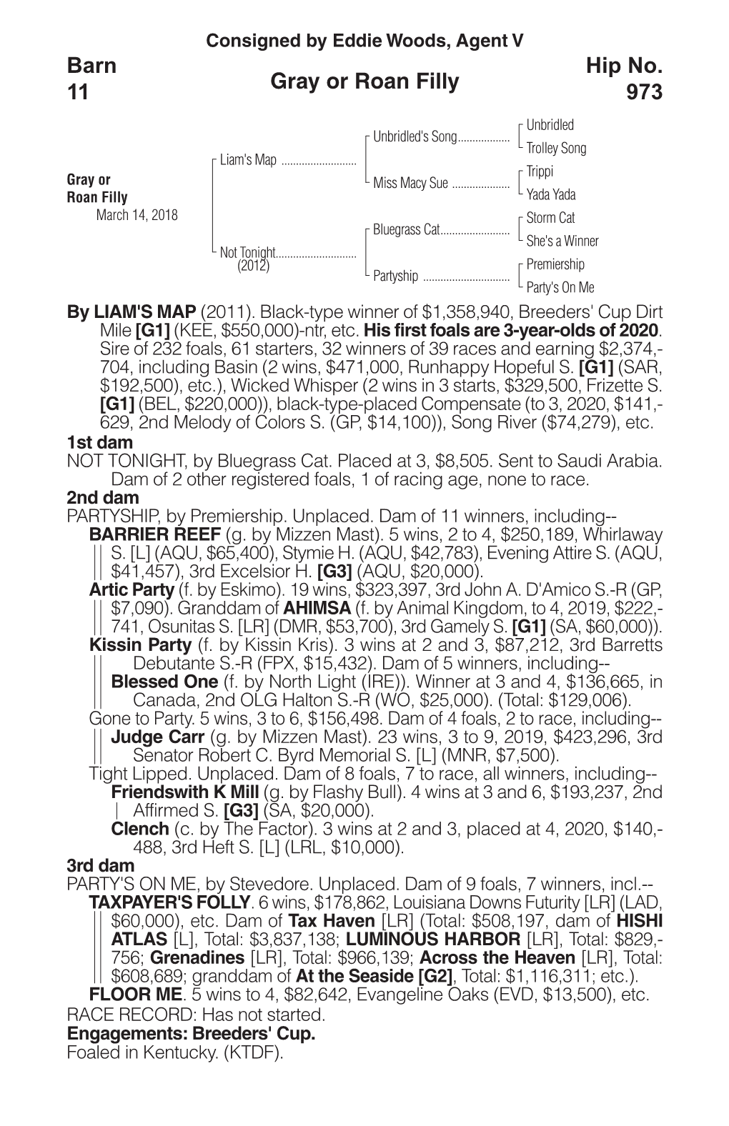 Gray Or Roan Filly Barn 11 Hip No