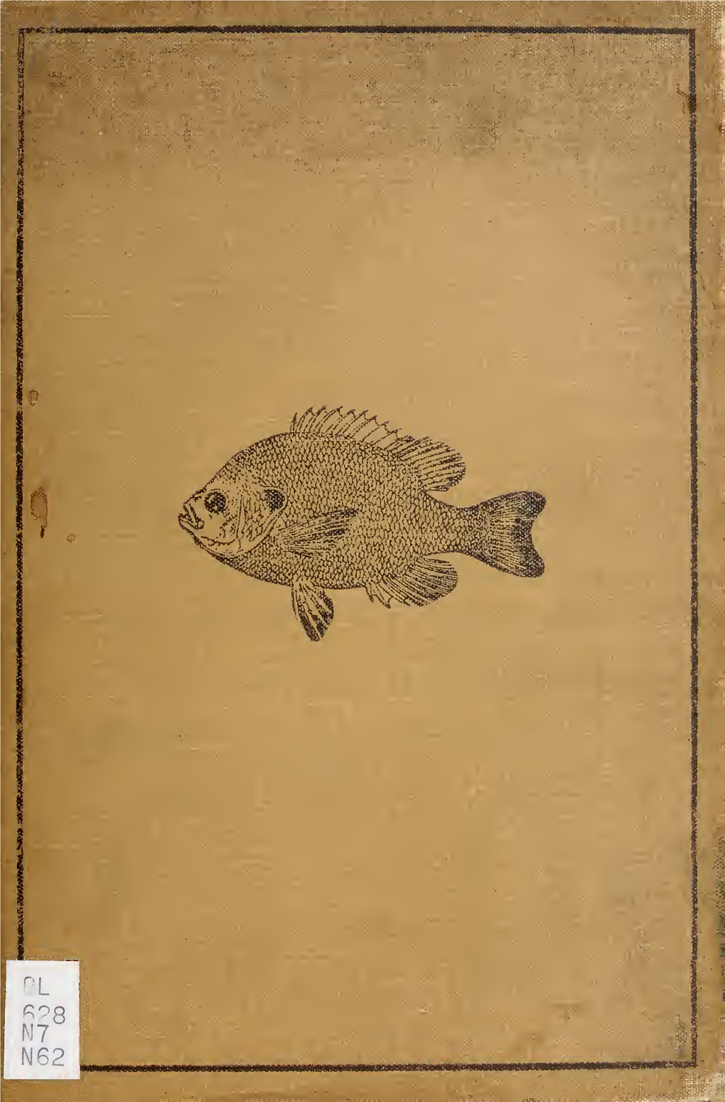 Fishes of the Vicinity of New York City