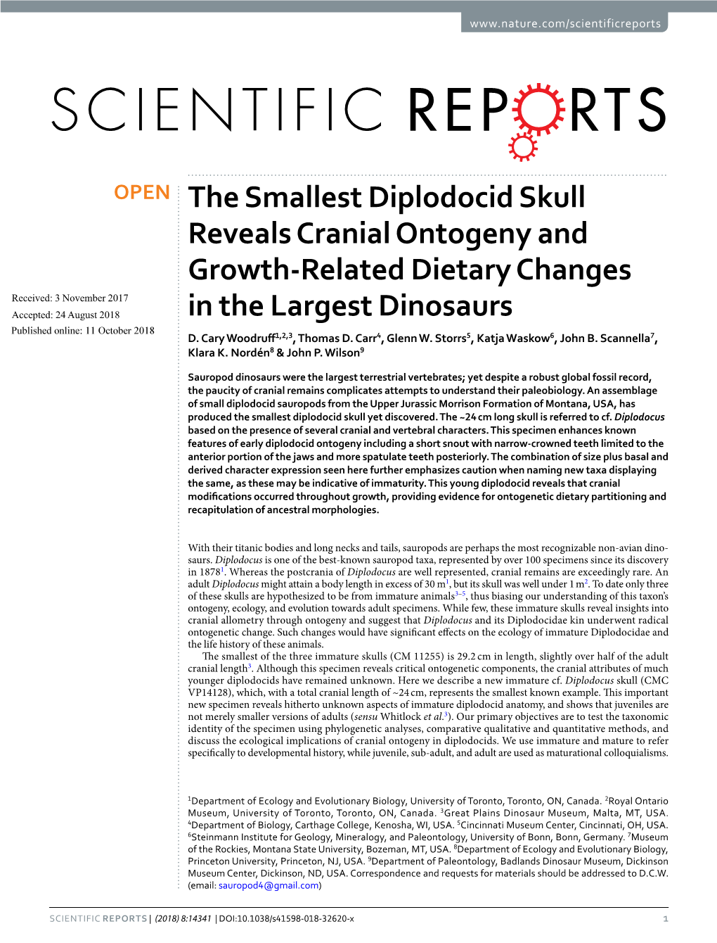 The Smallest Diplodocid Skull Reveals Cranial Ontogeny And