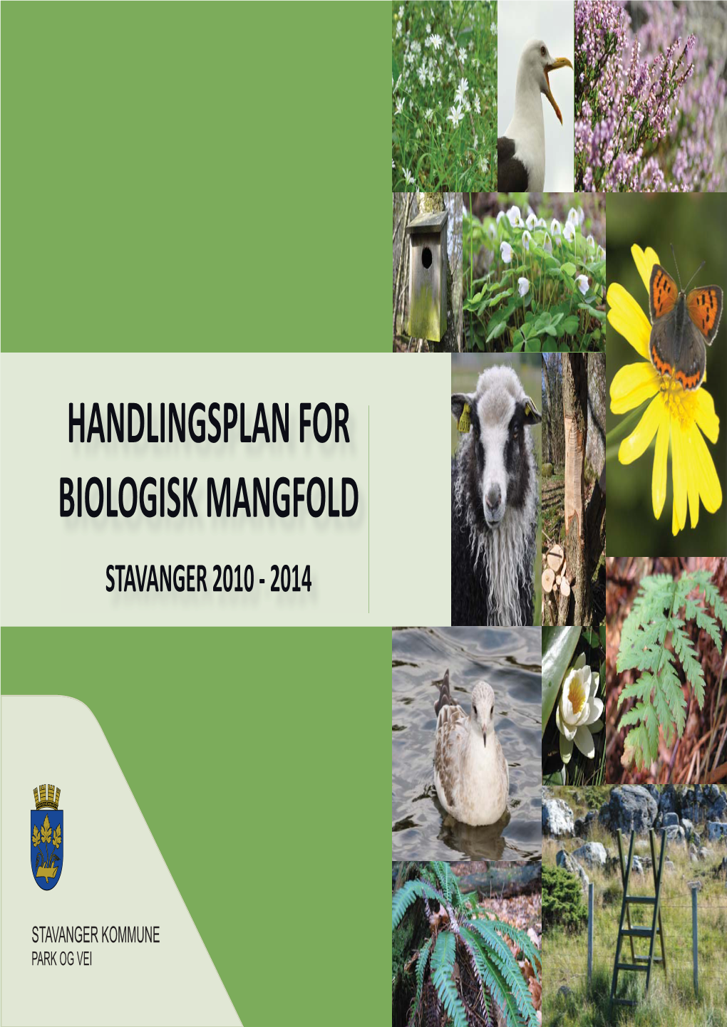 Handlingsplan for Biologisk Mangfold Stavanger 2010 - 2014