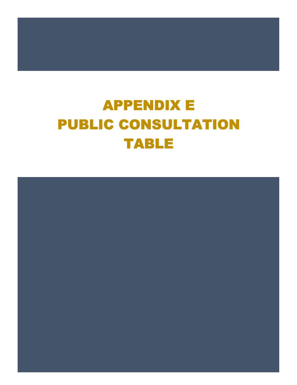 Appendix E Public Consultation Table