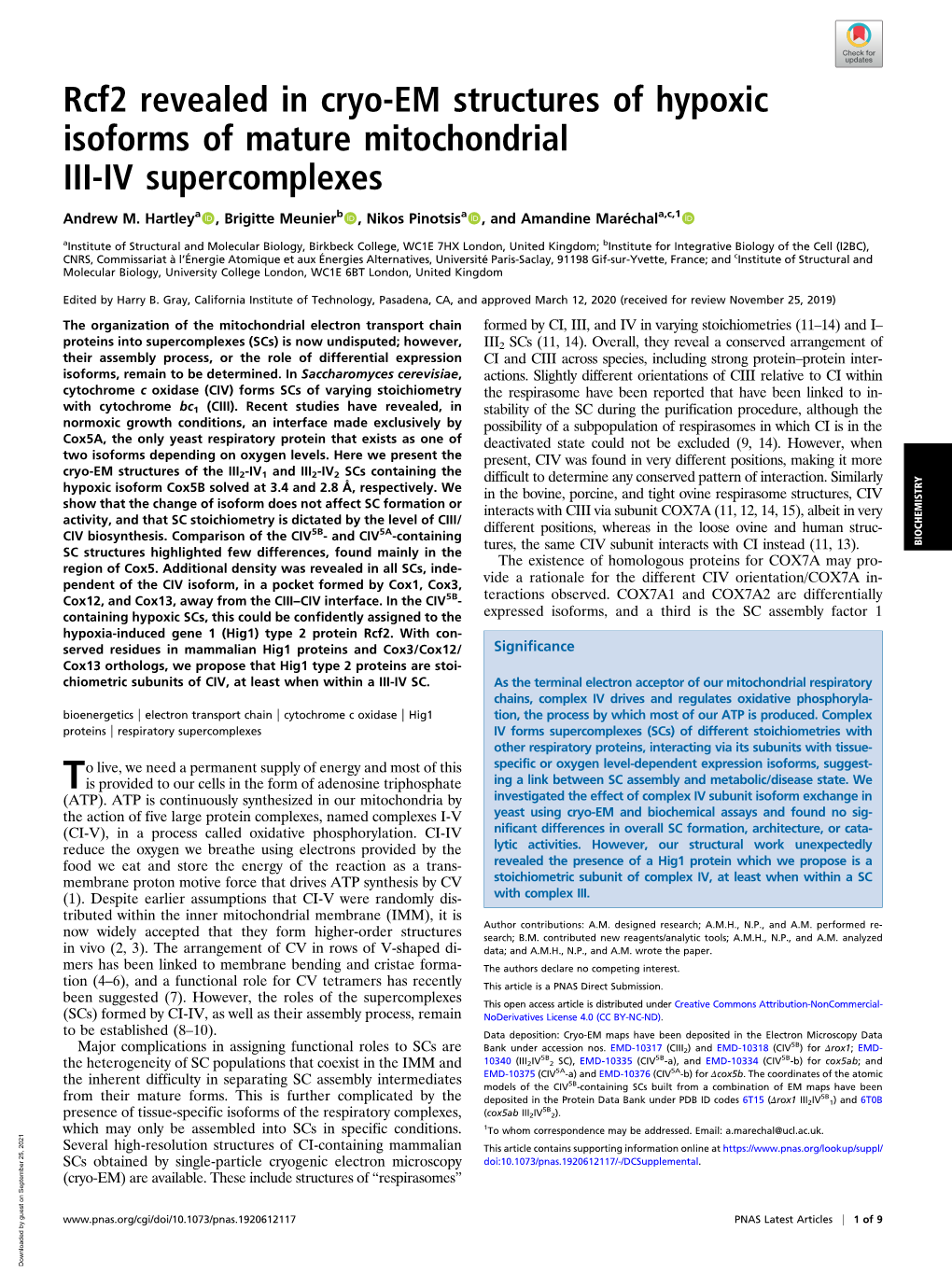 Rcf2 Revealed in Cryo-EM Structures of Hypoxic Isoforms of Mature Mitochondrial III-IV Supercomplexes