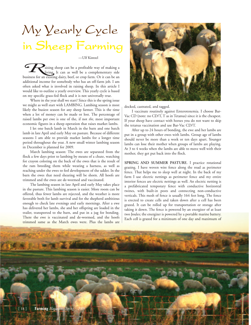 My Yearly Cycle in Sheep Farming —Ulf Kintzel