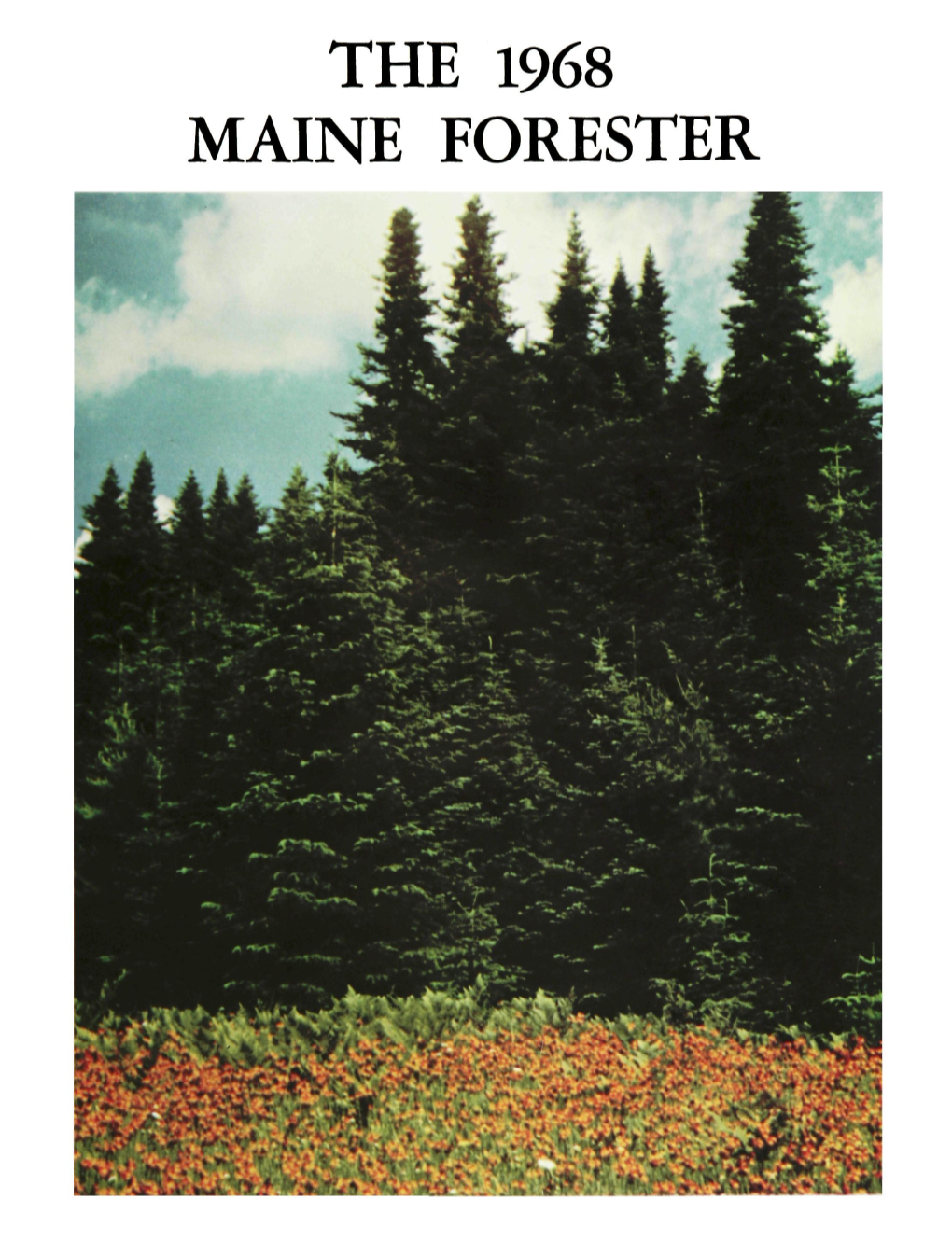 The 1968 Maine Forester