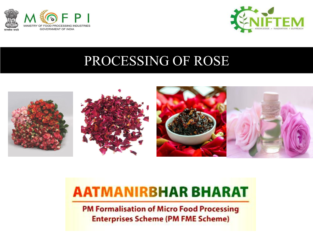 PROCESSING of ROSE • Rose Is a Woody Perennial Flowering Plant and Is One of the Highest-Selling Flowers in International Market Due to Its Medicinal Value