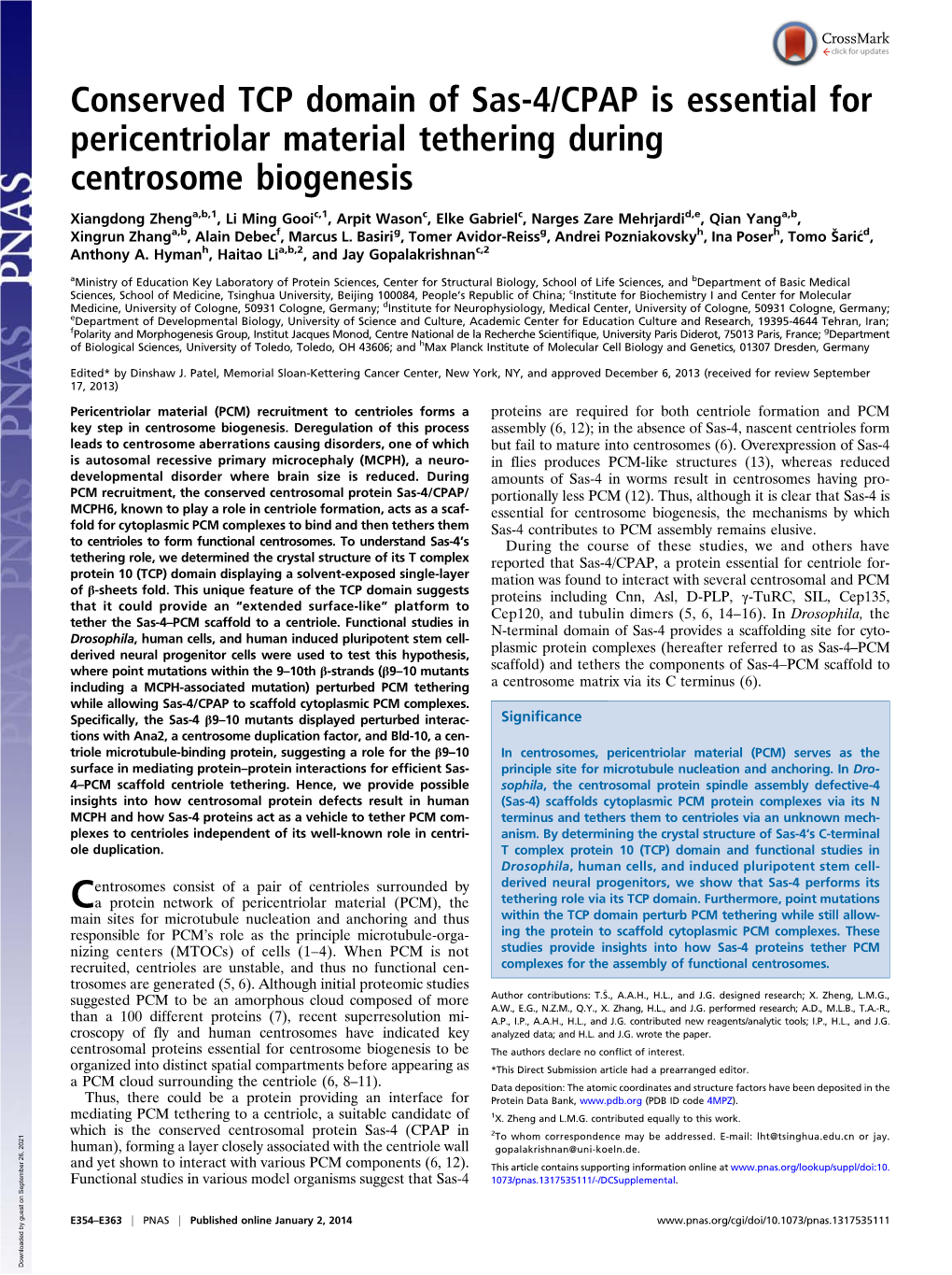 Conserved TCP Domain of Sas-4/CPAP Is Essential for Pericentriolar Material Tethering During Centrosome Biogenesis