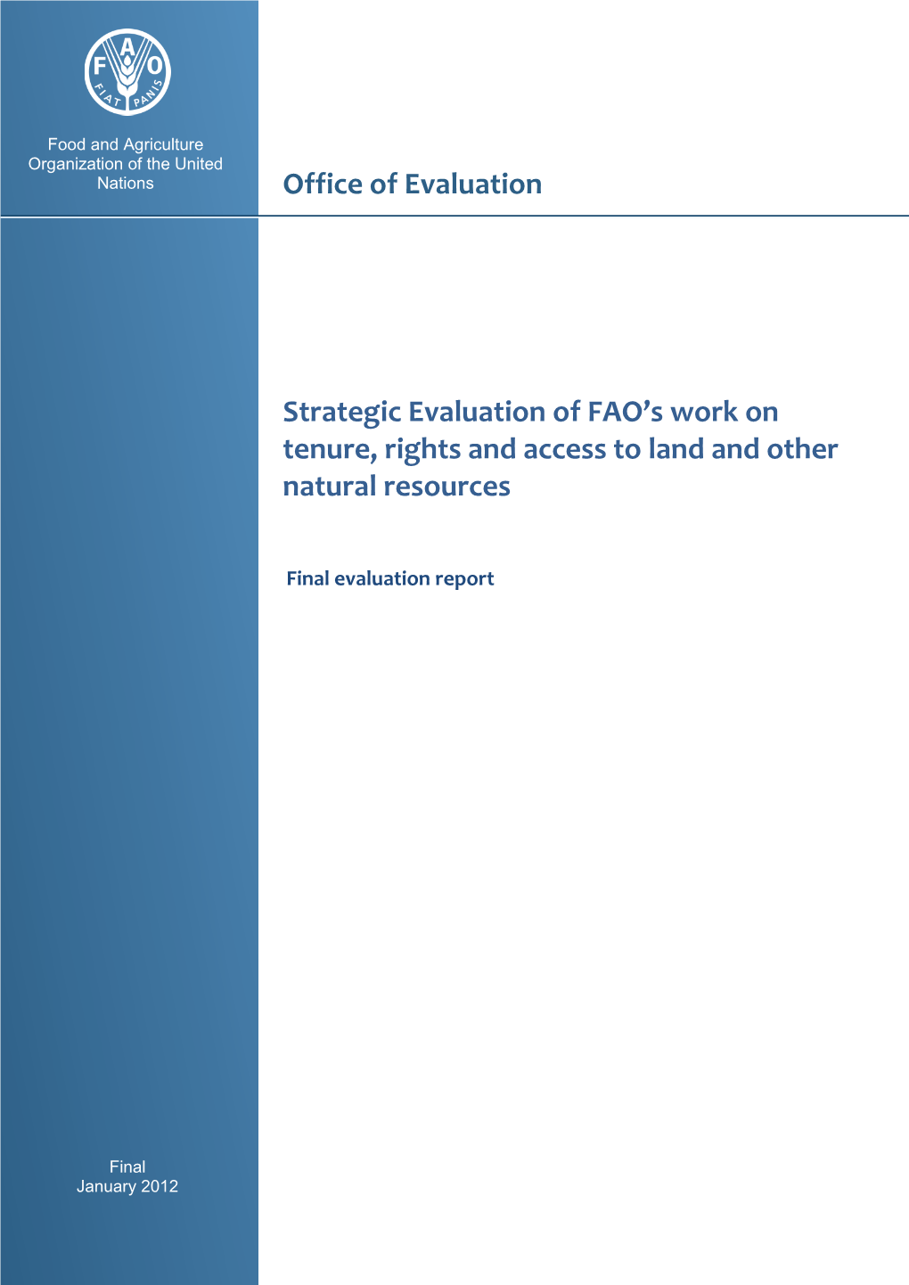 Strategic Evaluation of FAO's Work on Tenure, Rights and Access to Land and Other Natural Resources