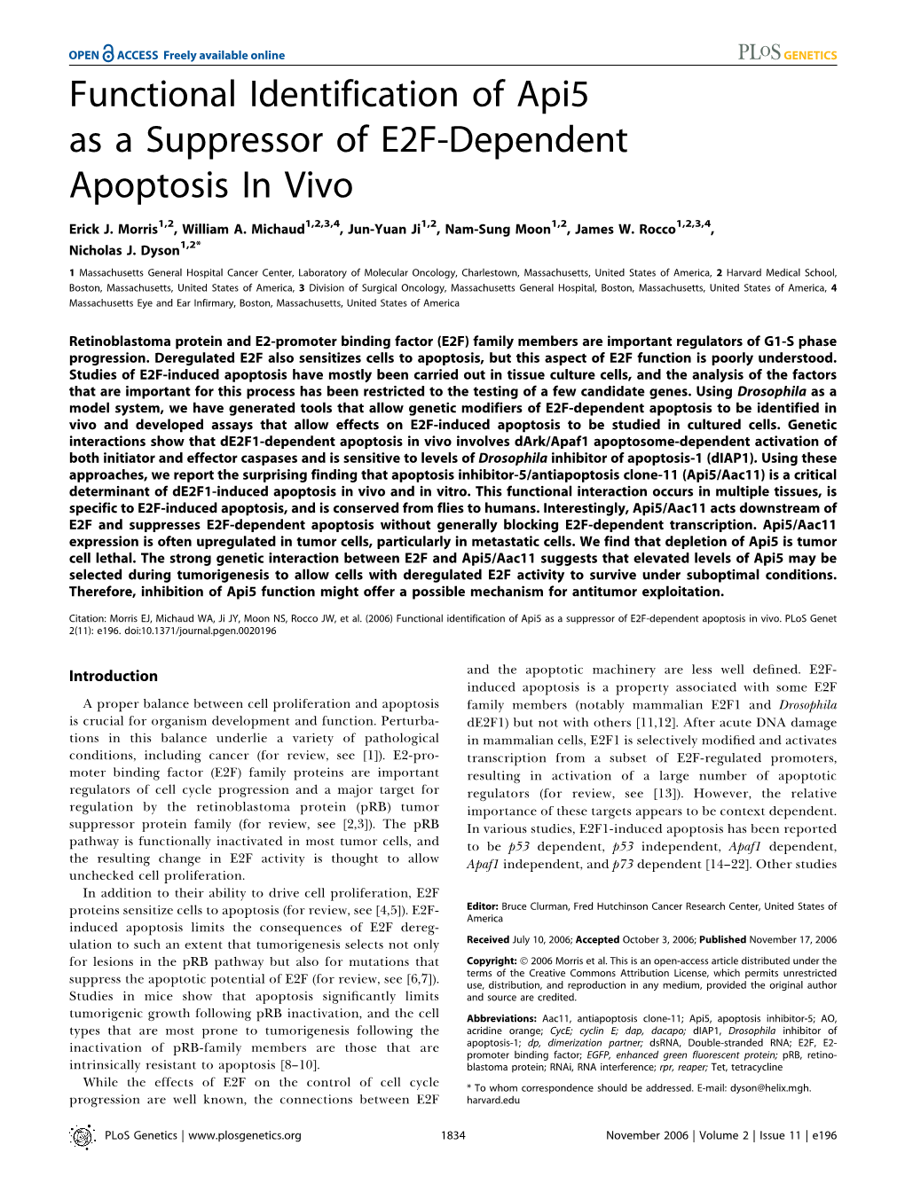 Functional Identification of Api5 As a Suppressor of E2F-Dependent Apoptosis in Vivo