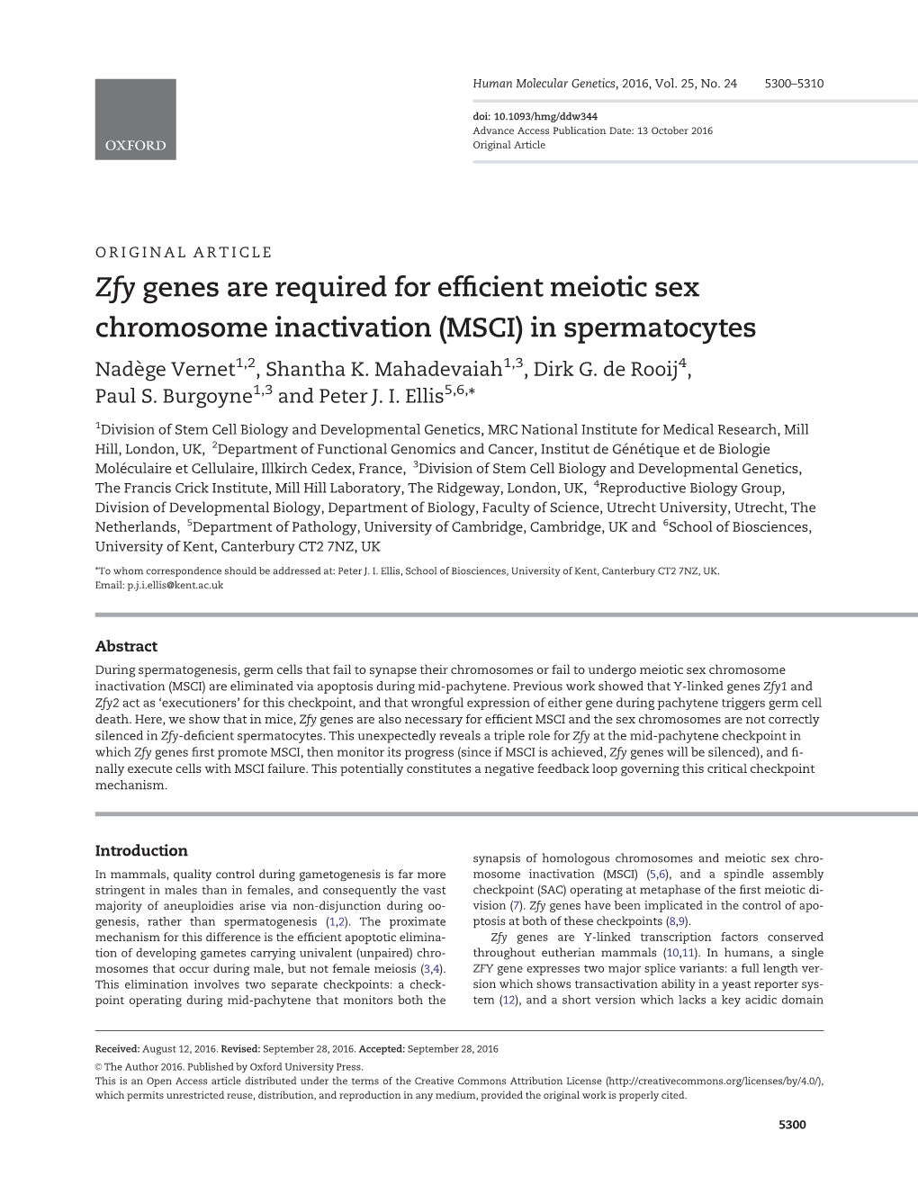 Zfy Genes Are Required for Efficient Meiotic Sex Chromosome Inactivation