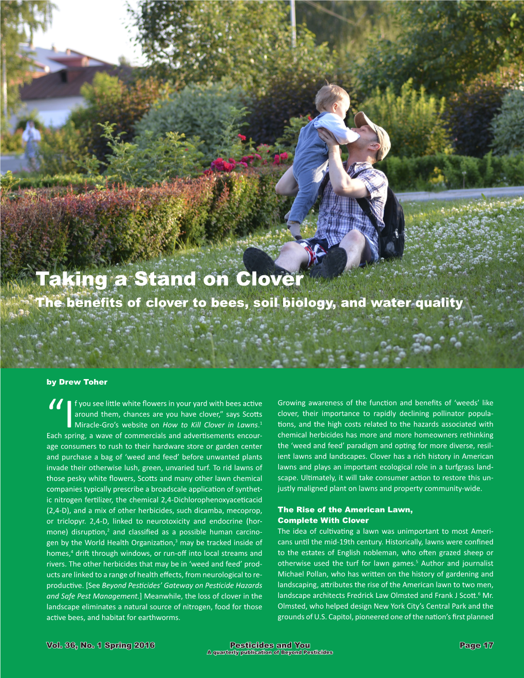 Taking a Stand on Clover the Benefits of Clover to Bees, Soil Biology, and Water Quality