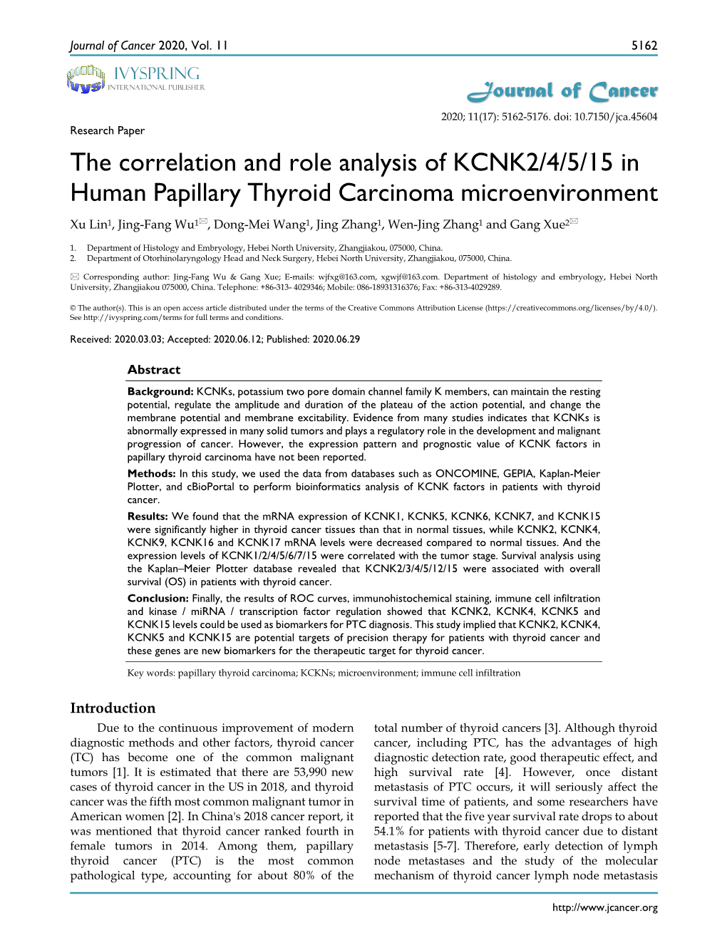 The Correlation and Role Analysis of KCNK2/4/5/15 in Human Papillary