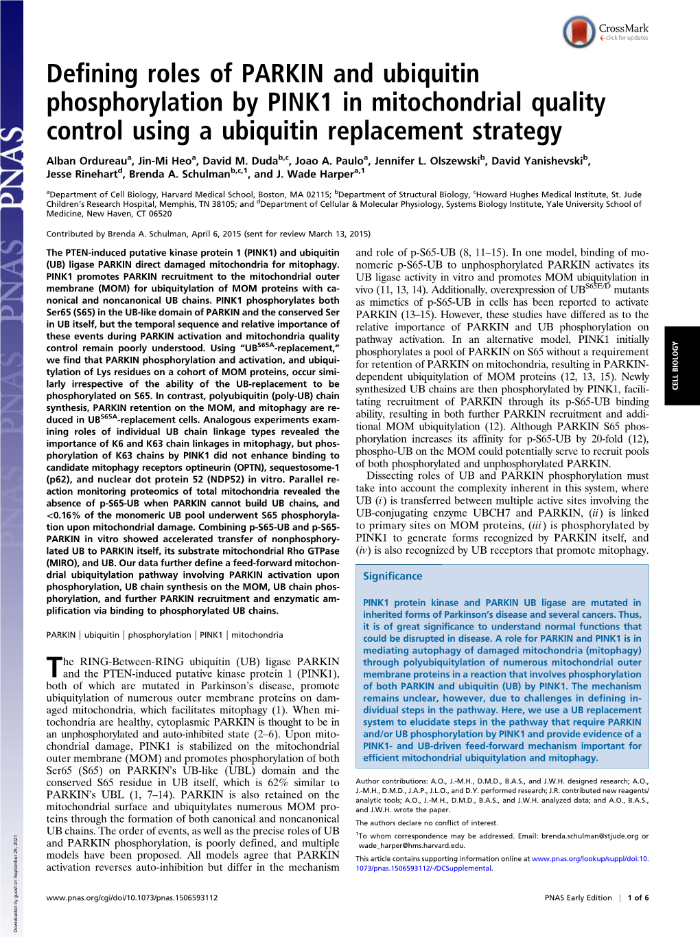 Defining Roles of PARKIN and Ubiquitin Phosphorylation by PINK1 in Mitochondrial Quality Control Using a Ubiquitin Replacement Strategy