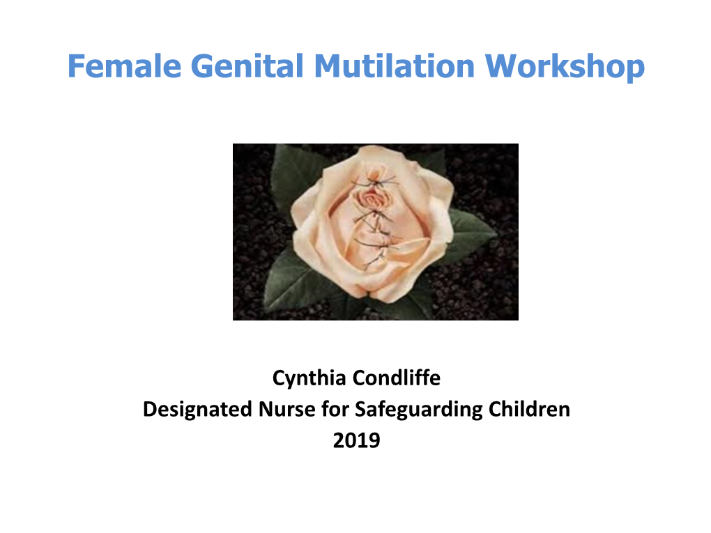 Female Genital Mutilation Workshop
