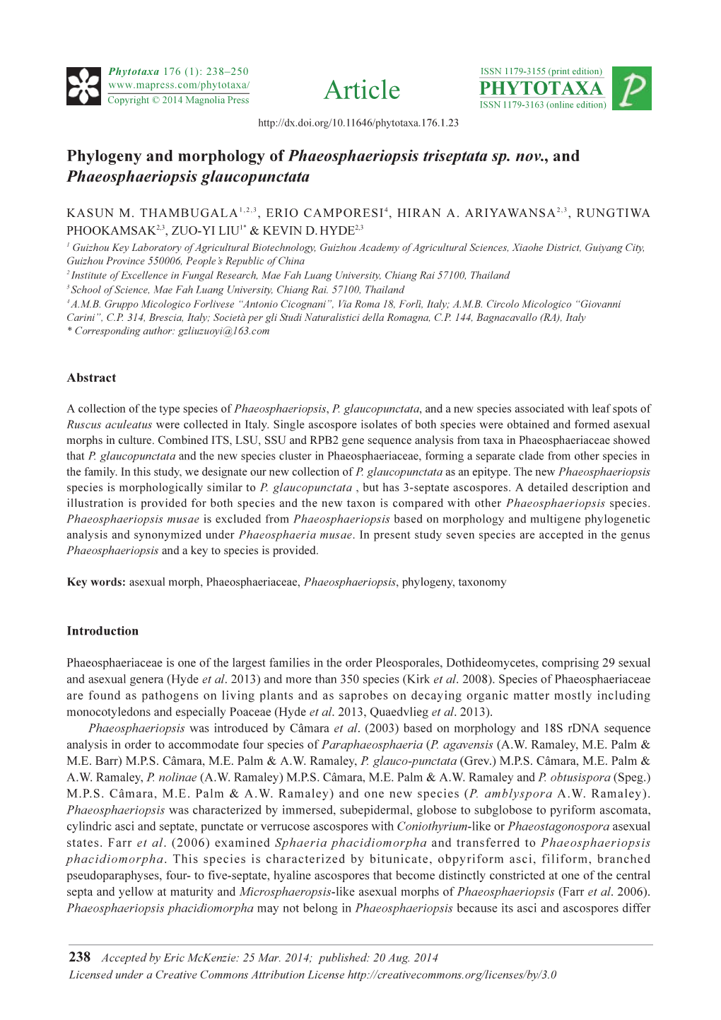 Phylogeny and Morphology of Phaeosphaeriopsis Triseptata Sp