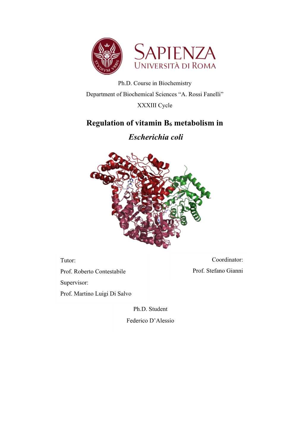 Regulation of Vitamin B6 Metabolism in Escherichia Coli