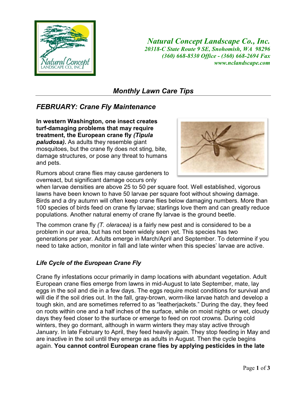 FEBRUARY: Crane Fly Maintenance