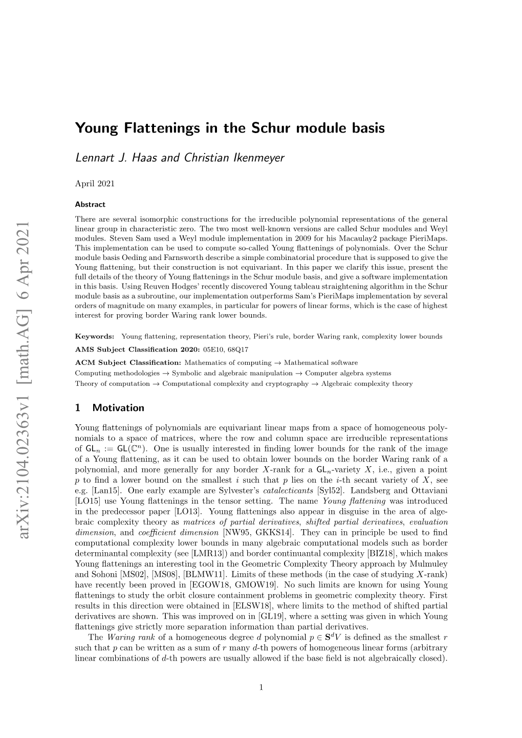 Young Flattenings in the Schur Module Basis