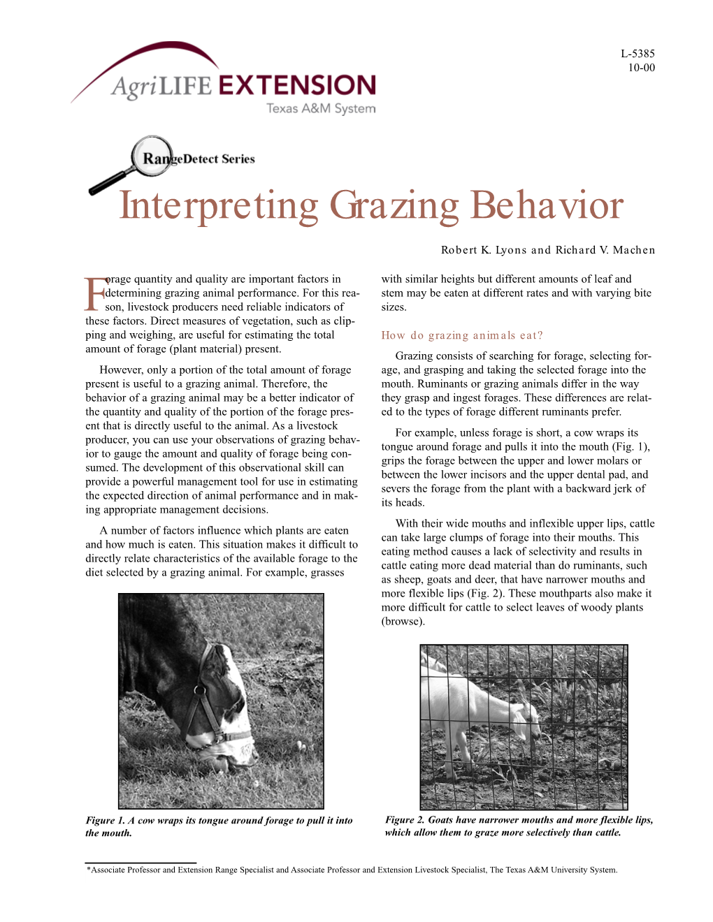 Interpreting Grazing Behavior