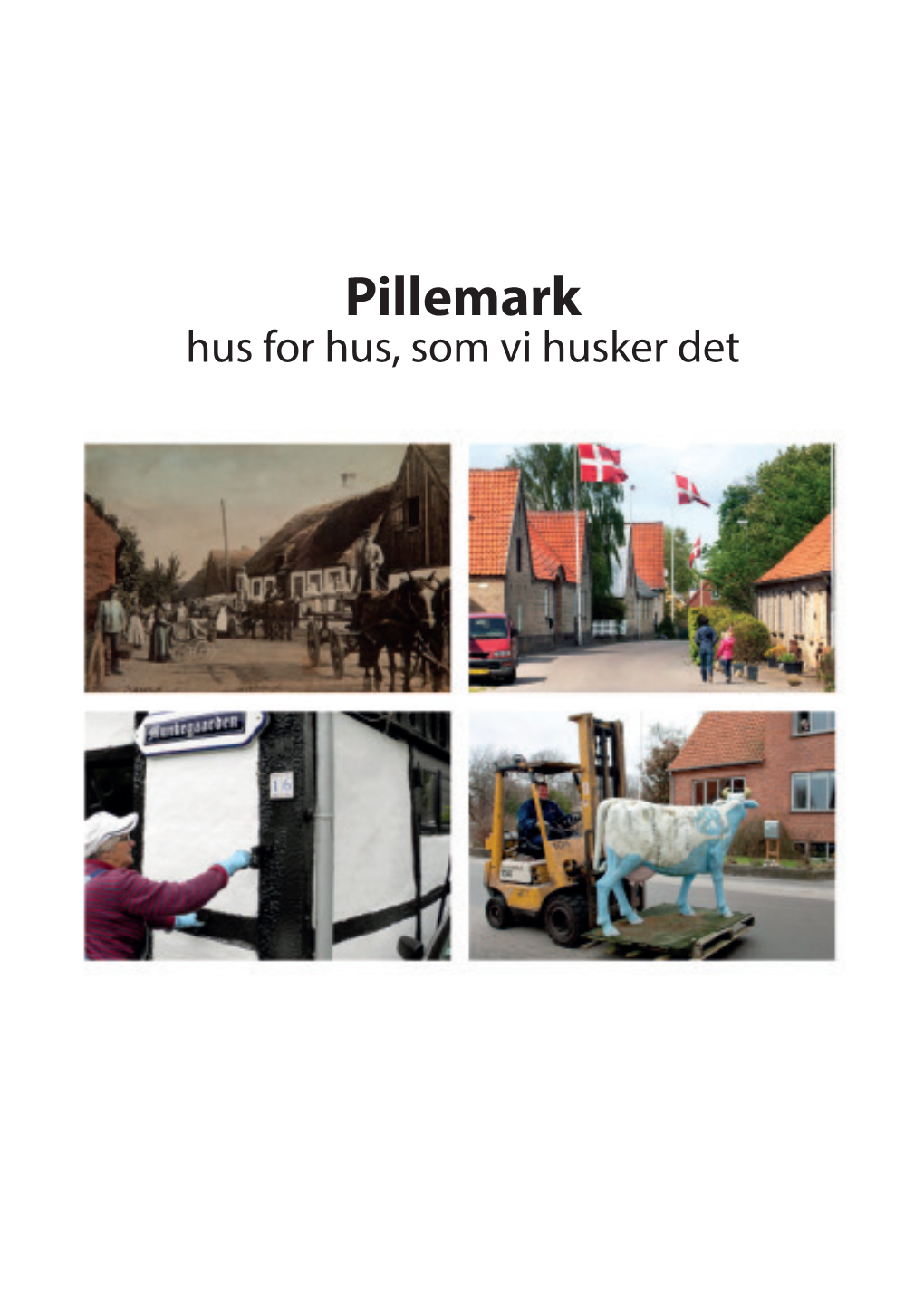 Pillemark.Pdf