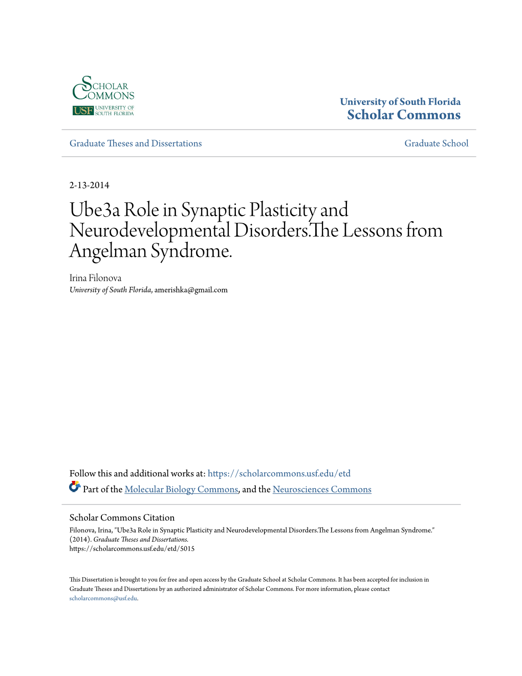 Ube3a Role in Synaptic Plasticity and Neurodevelopmental Disorders.The Lessons from Angelman Syndrome