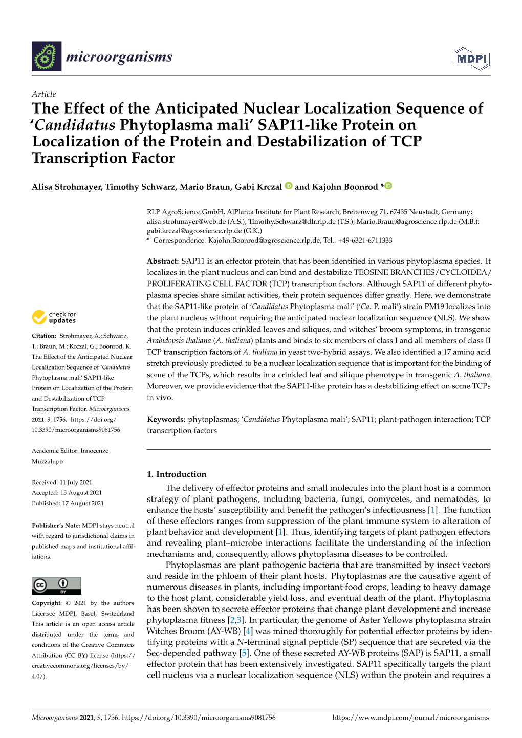 'Candidatus Phytoplasma Mali' SAP11-Like Protein on Localizat