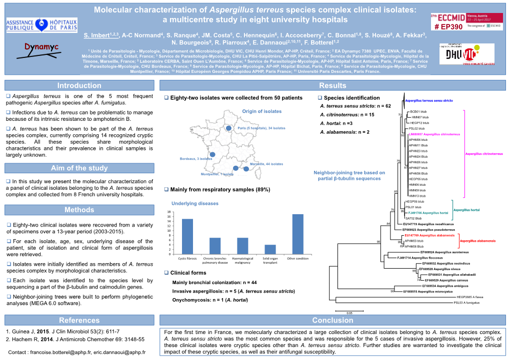 Fatal Invasive Pulmonary Aspergillosis Due to Aspergillus Pseudodeflectus