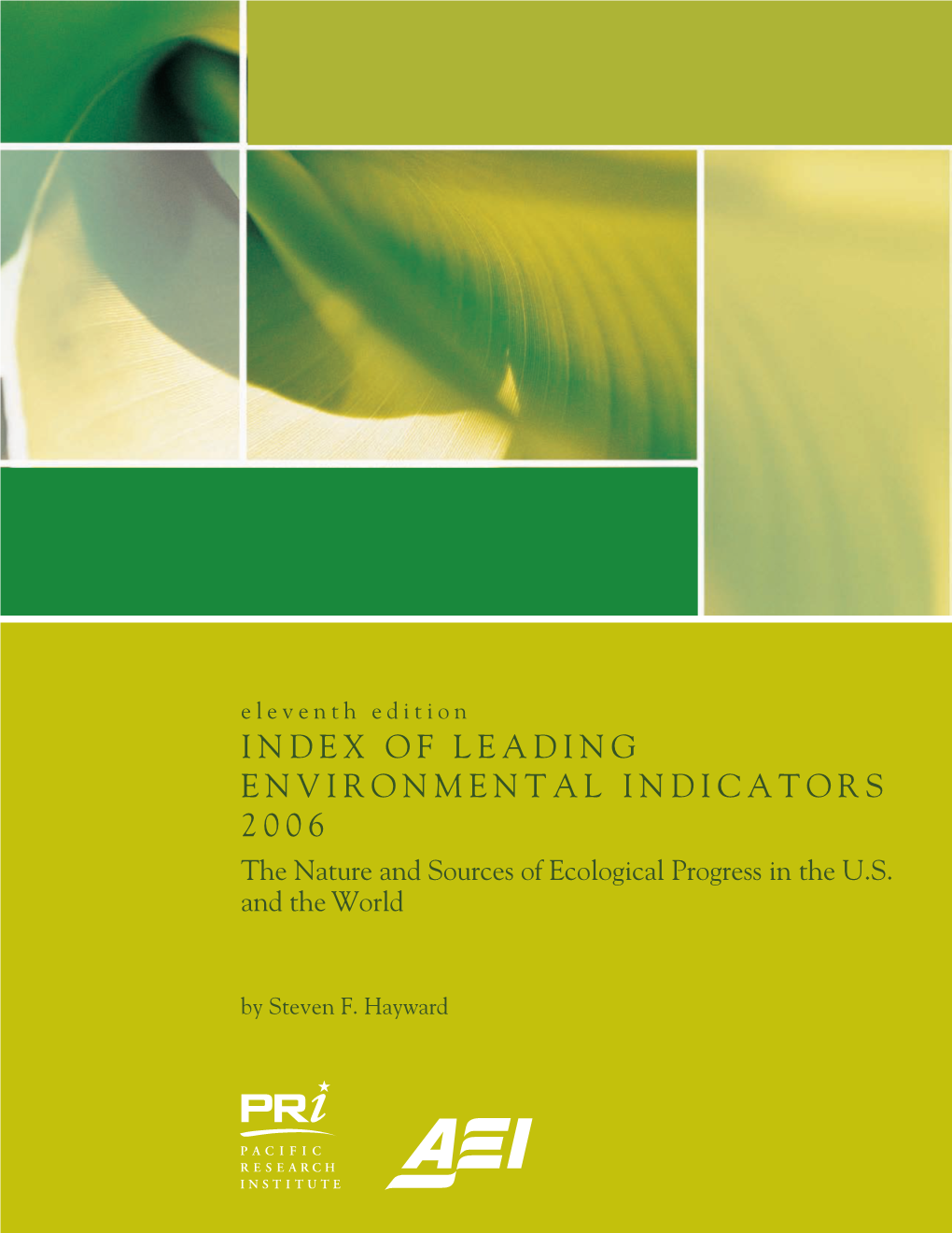 Index of Leading Environmental Indicators 2006